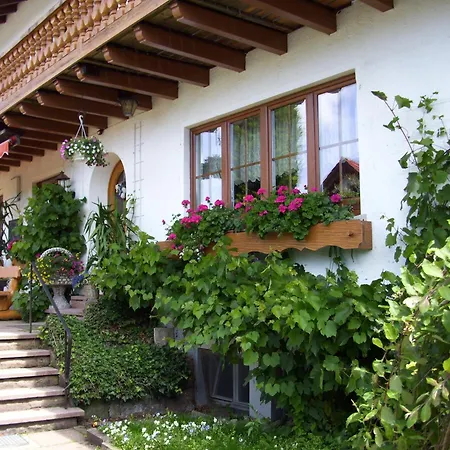 Guest house Mast 2*