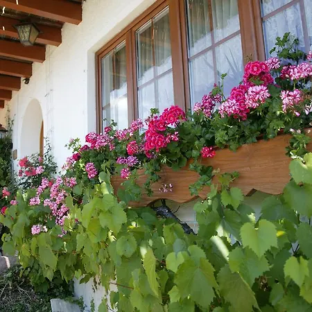 Mast בית הארחה 3*